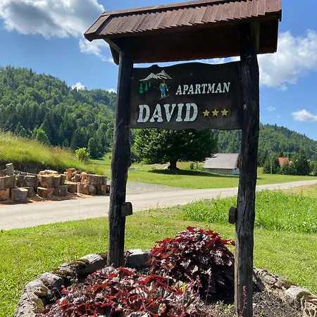 Apartman David