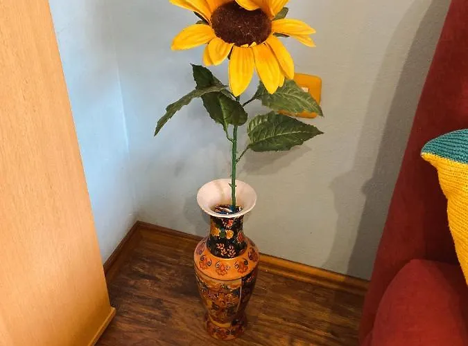 David Apartament Trsce