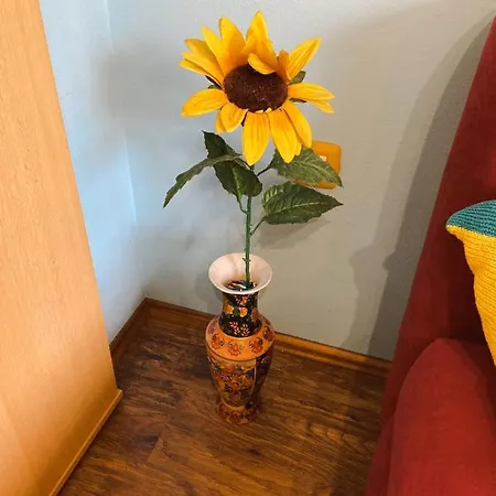 David Appartement Trsce