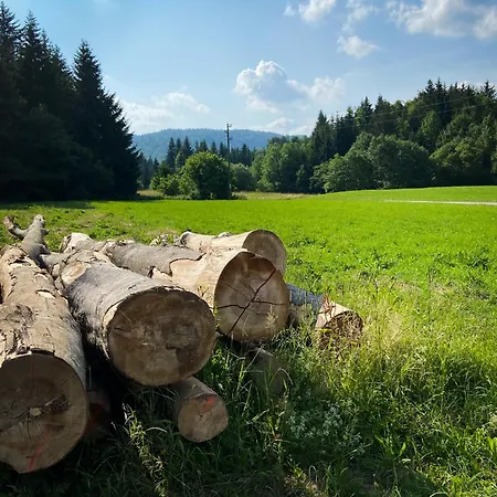 David Appartement Trsce