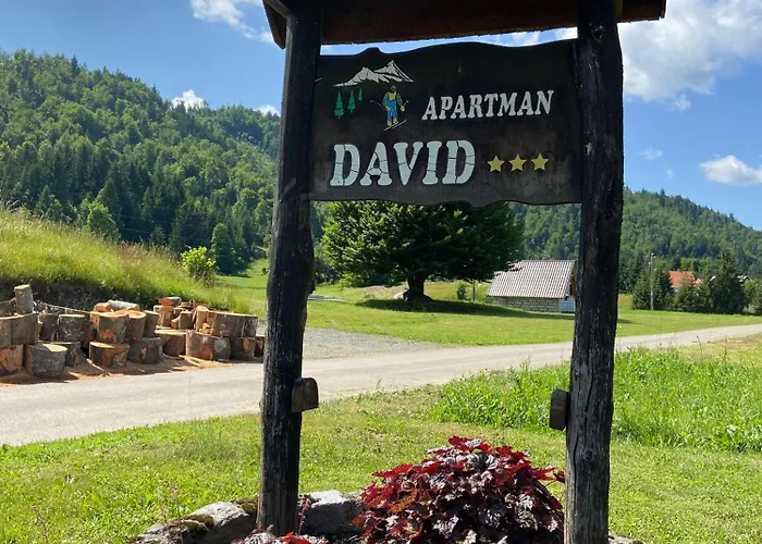 公寓 David